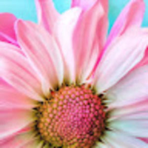 Meet your Posher, Yasmin